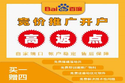 竞价广告端口开户的典型案例剖析